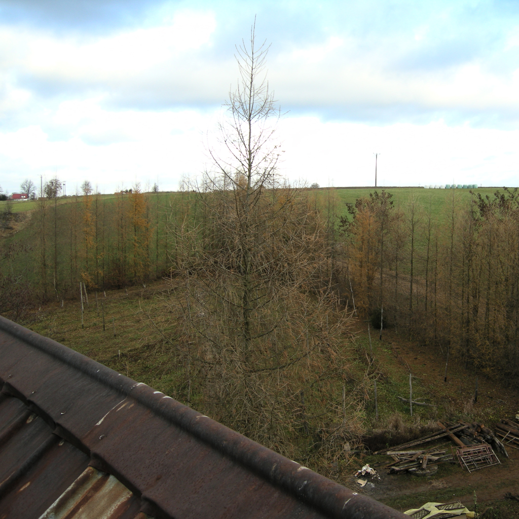 DSCN7735 1024x1024