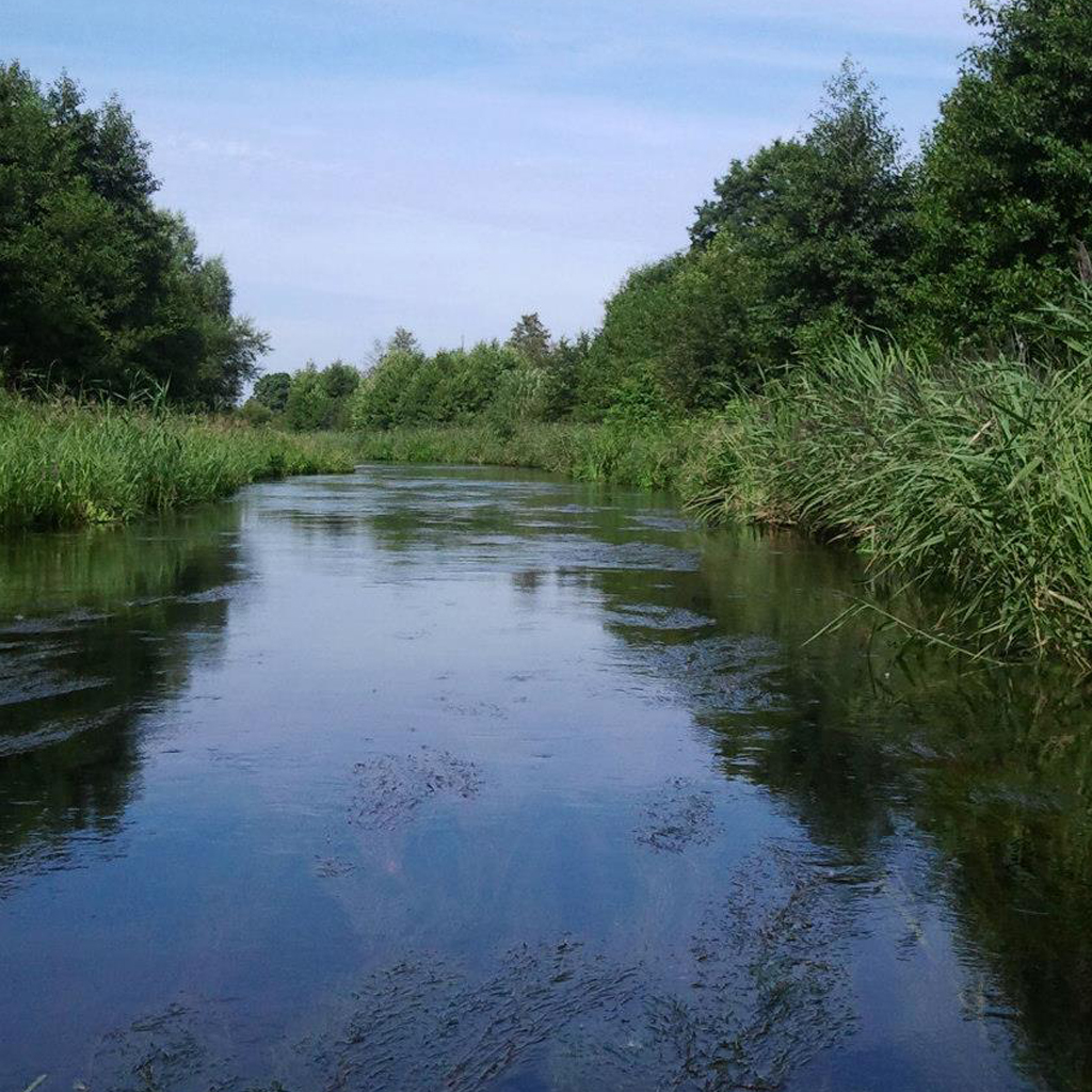 Kosna-widziana-z-pontonu