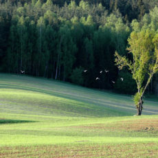 warminskie-klimaty-fot-JACEK-SZTORC