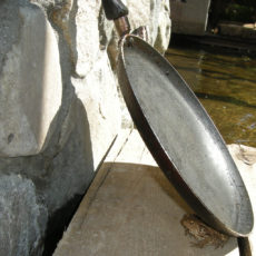zaba pod patelnia