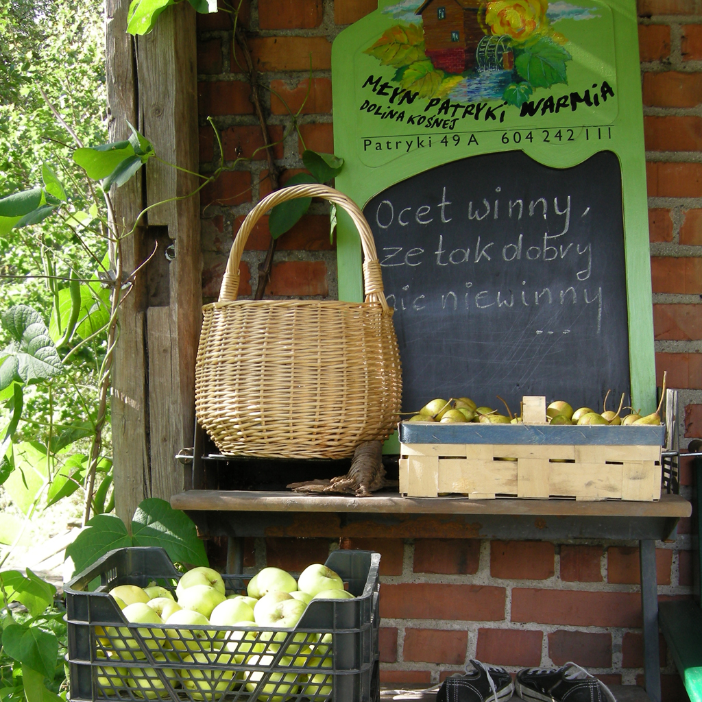 patryki jesień 2009 005  1024x1024