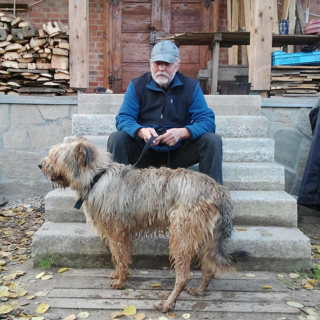 Pierwszy-dzien-Berka-po-rzyjezdzie-ze-schroniska