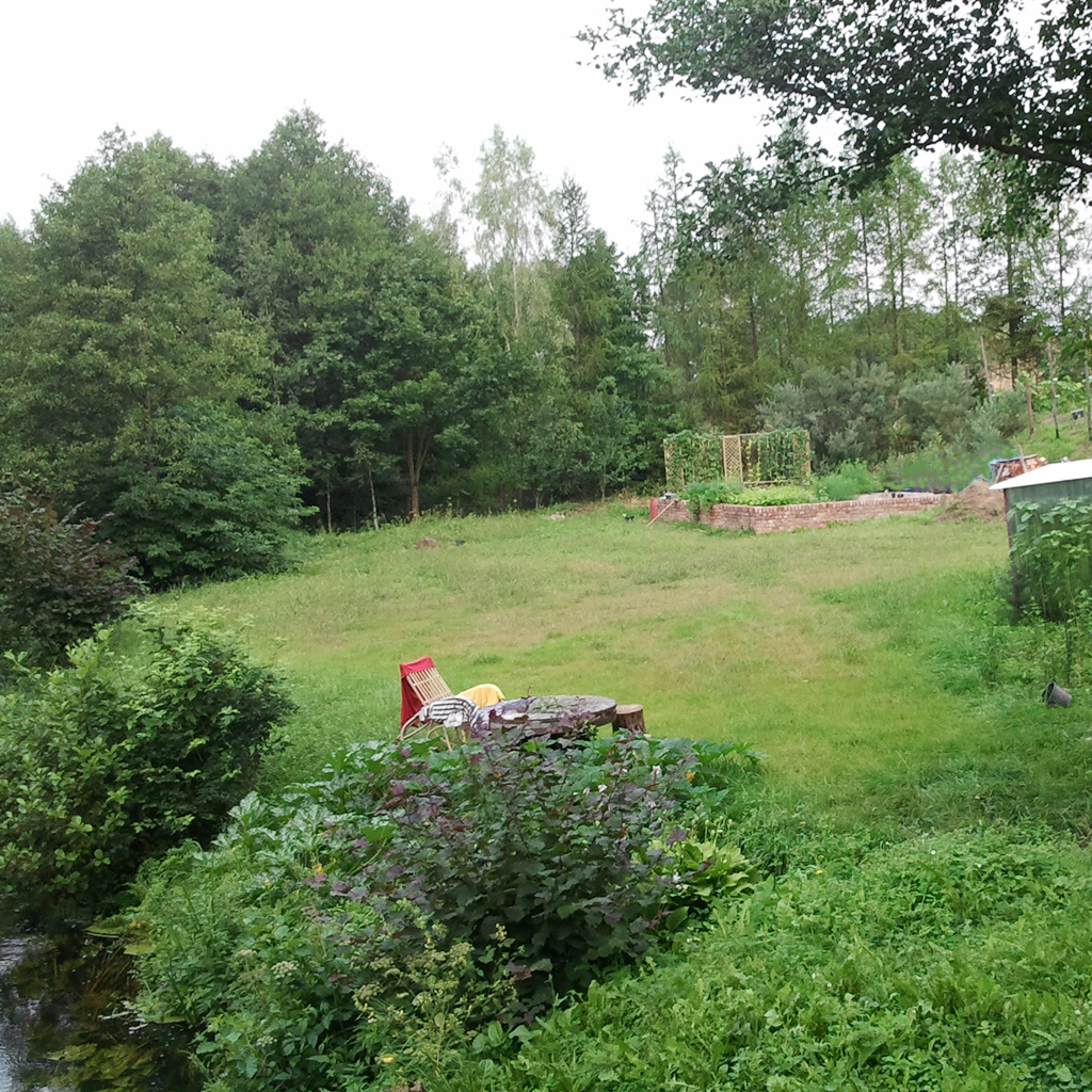 Widok-na-trawnik-i-ziolownik