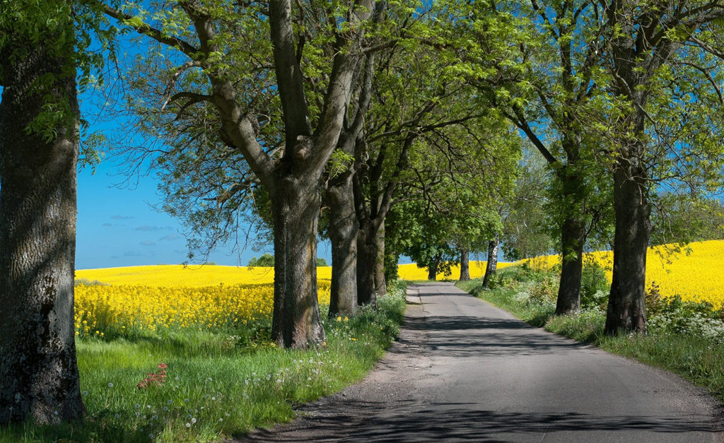 warminskie-klimaty-fot-JACEK-SZTORC