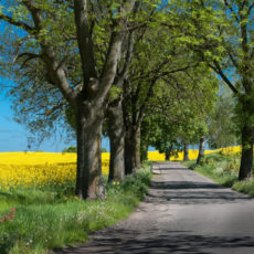 warminskie-klimaty-fot-JACEK-SZTORC